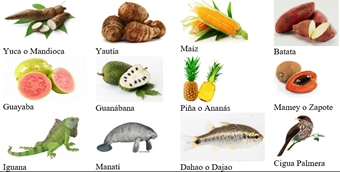 Imagen que contiene Diagrama

El contenido generado por IA puede ser incorrecto.